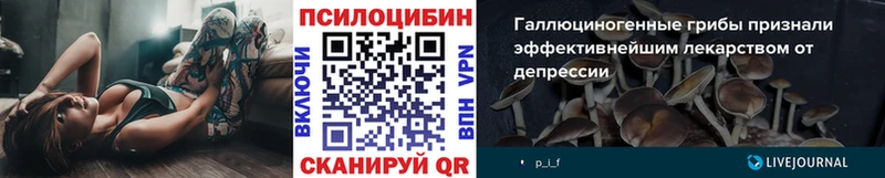 закладка  Новотитаровская  Псилоцибиновые грибы GOLDEN TEACHER 