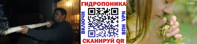 МАРИХУАНА White Widow  Новотитаровская 